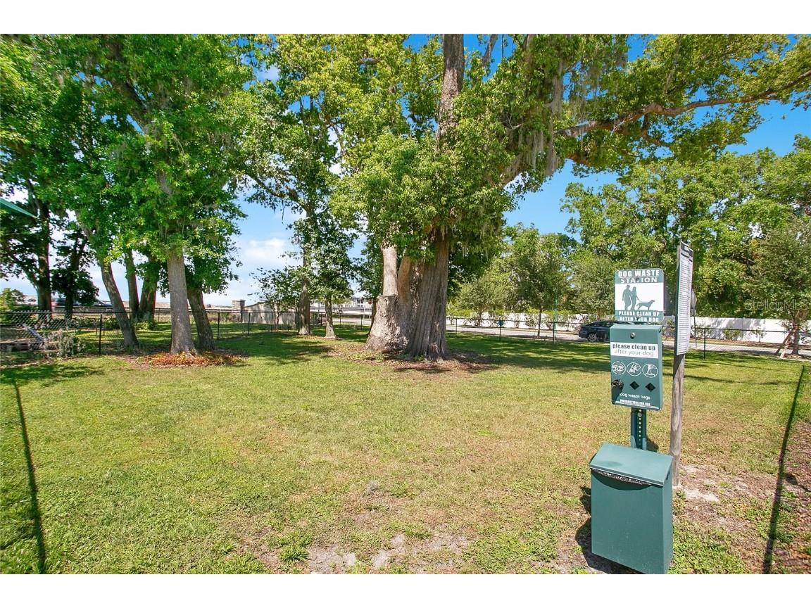 432 Winter Solstice Lane Mount Dora FL 32757 O6352632 image20