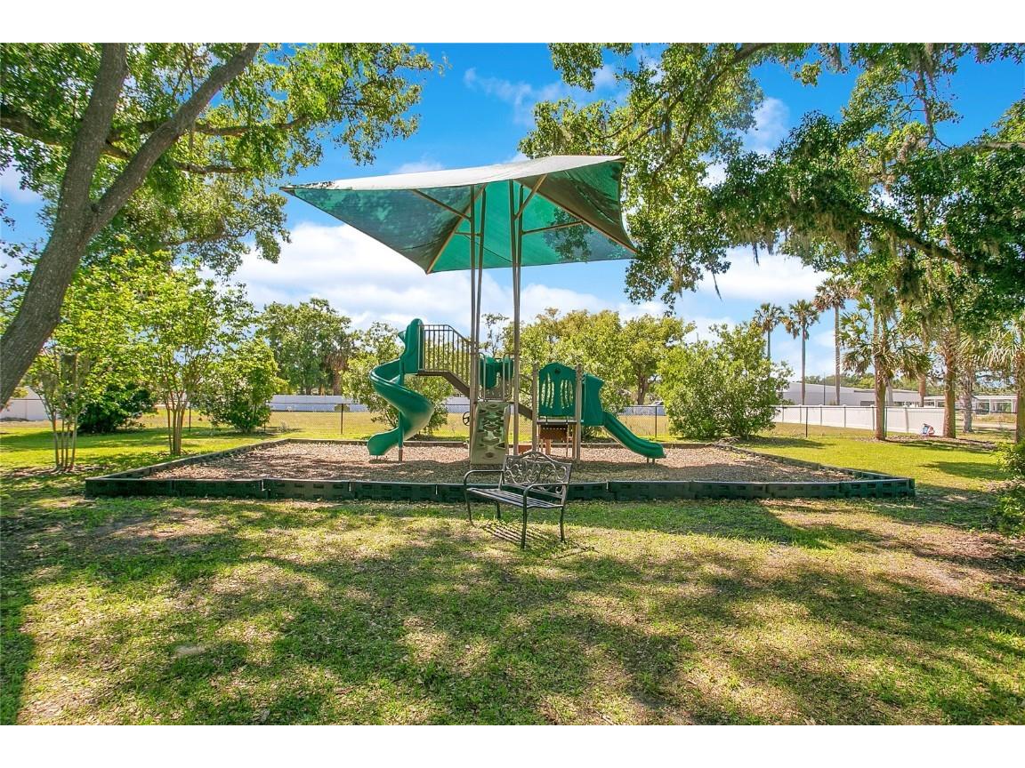 432 Winter Solstice Lane Mount Dora FL 32757 O6352632 image21