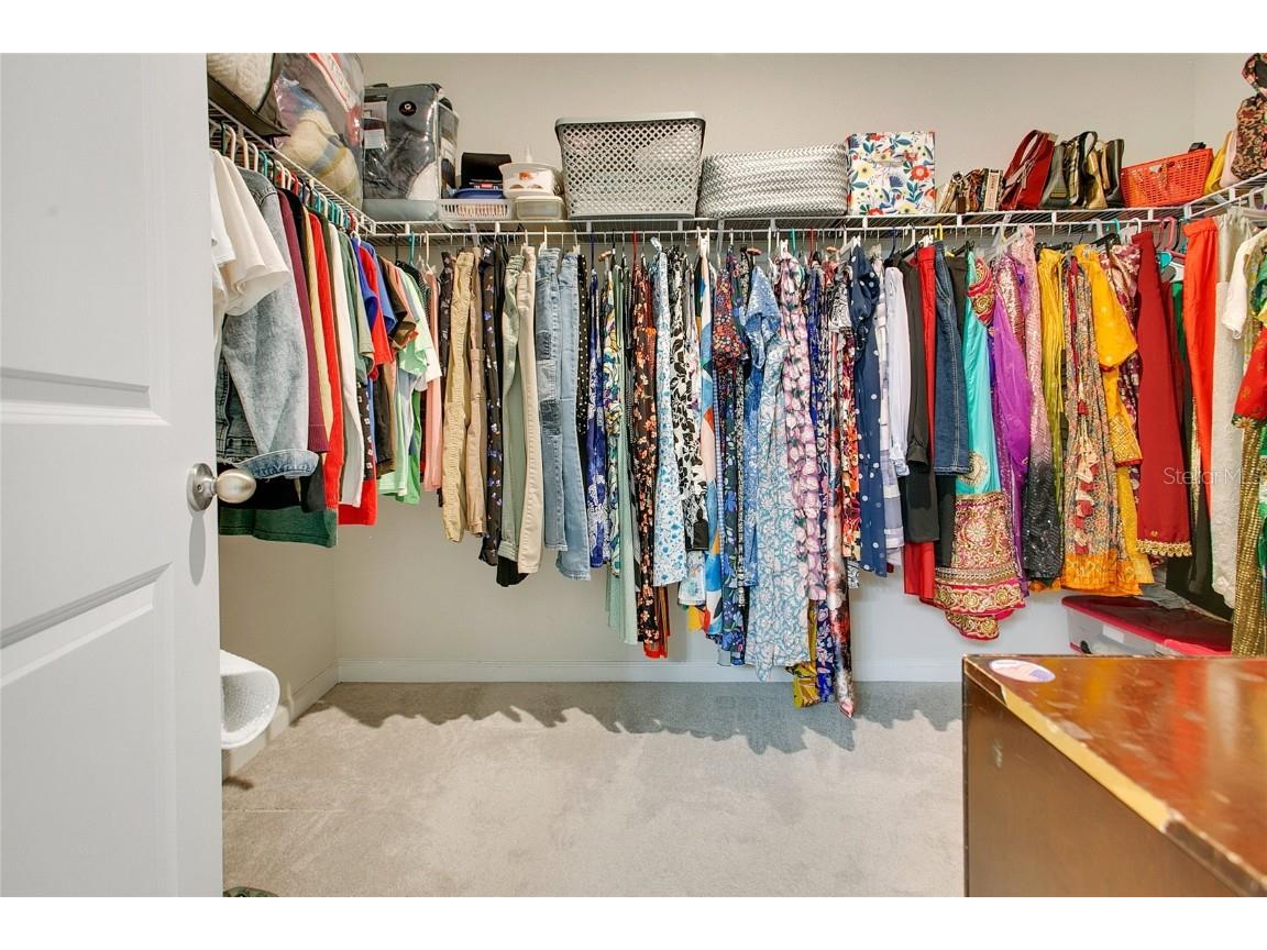 432 Winter Solstice Lane Mount Dora FL 32757 O6352632 image9