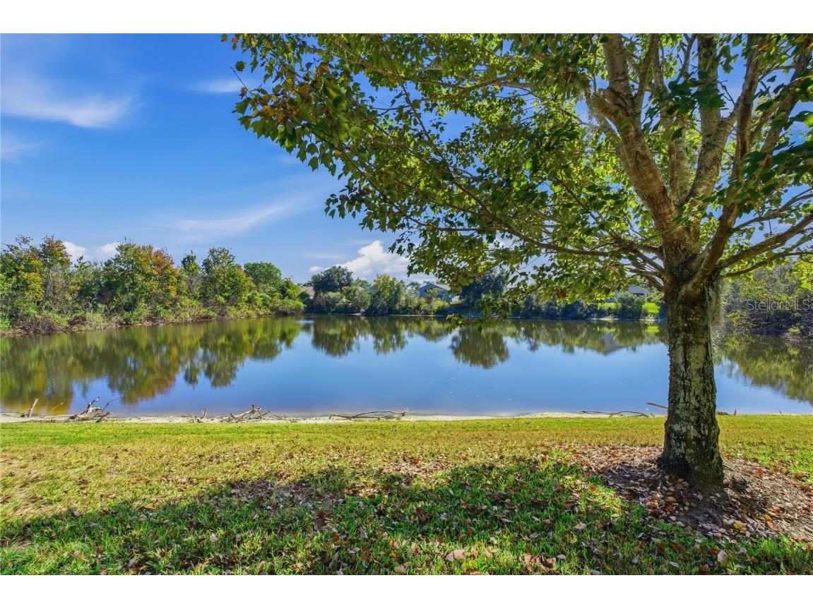 4320 Fennwood Court Wesley Chapel FL 33543 TB8451878 image37