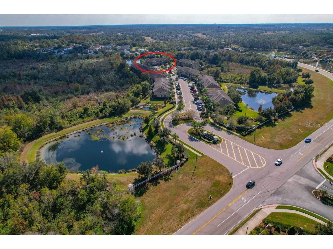 4320 Fennwood Court Wesley Chapel FL 33543 TB8451878 image40