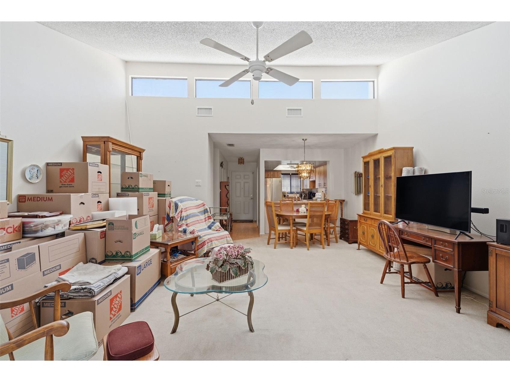 4320 Fern Glen St Holiday FL 34691 TB8522628 image14