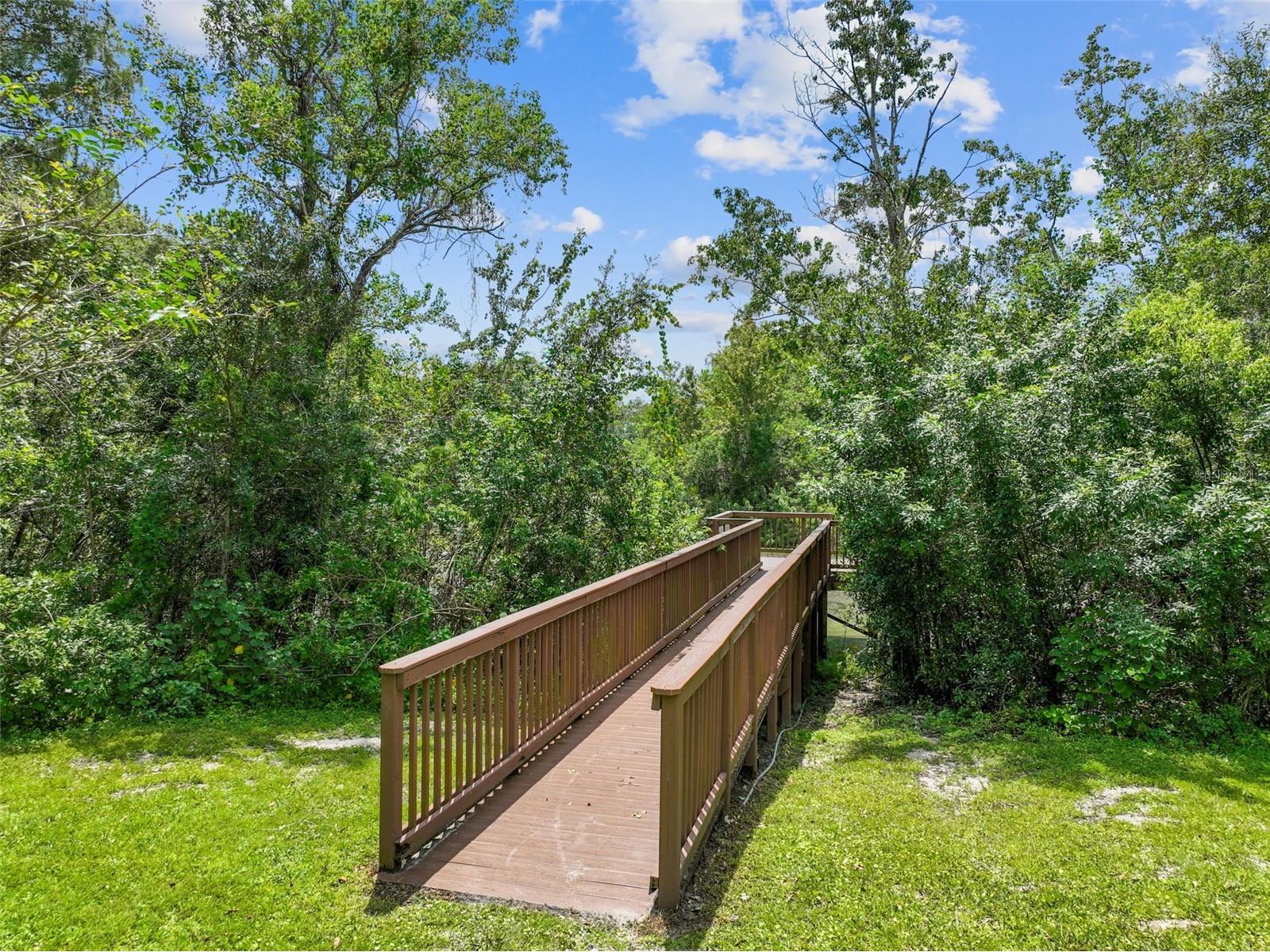 4321 Deermont Circle Tampa FL 33624 TB8468422 image43