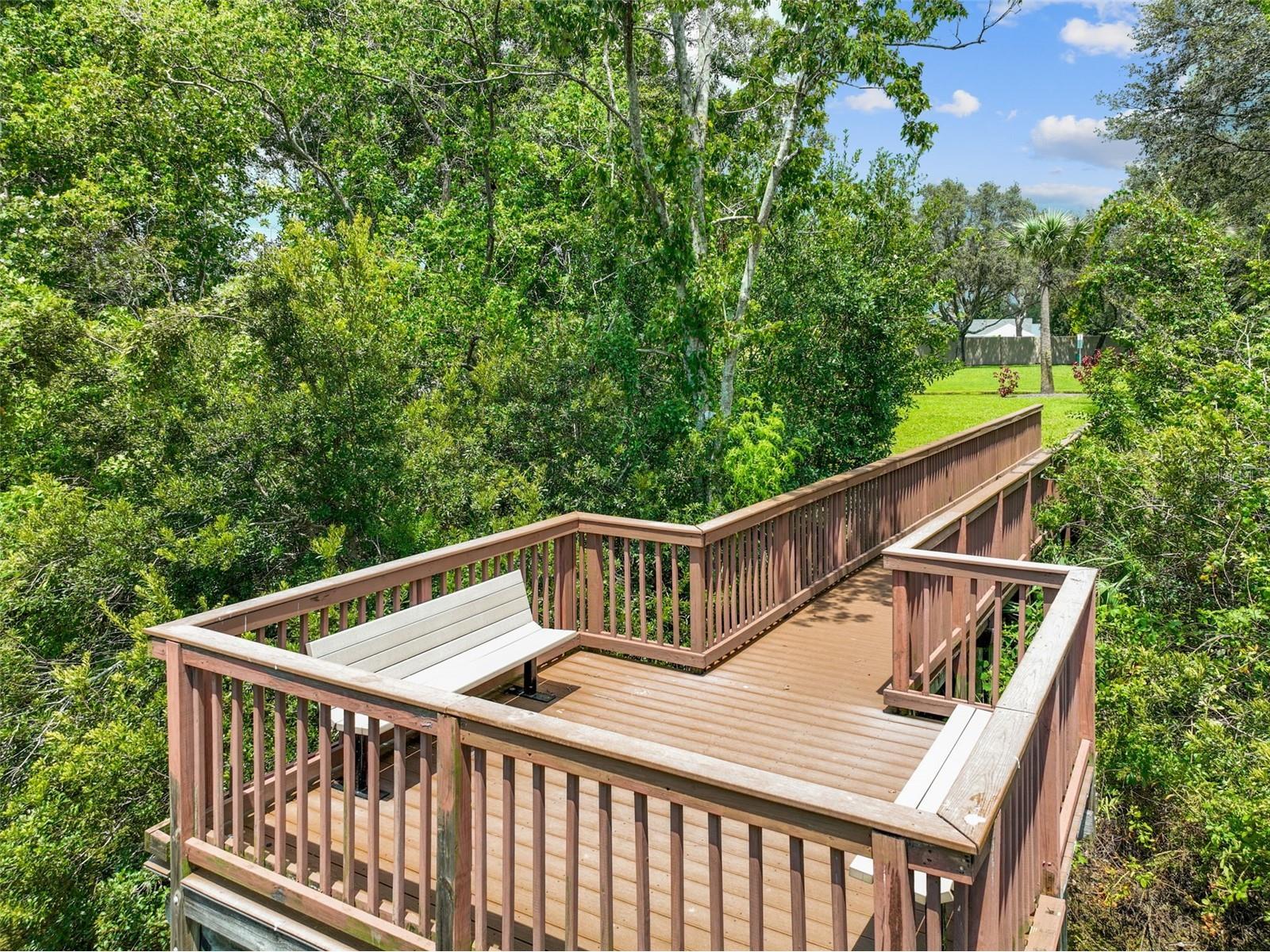 4321 Deermont Circle Tampa FL 33624 TB8468422 image44