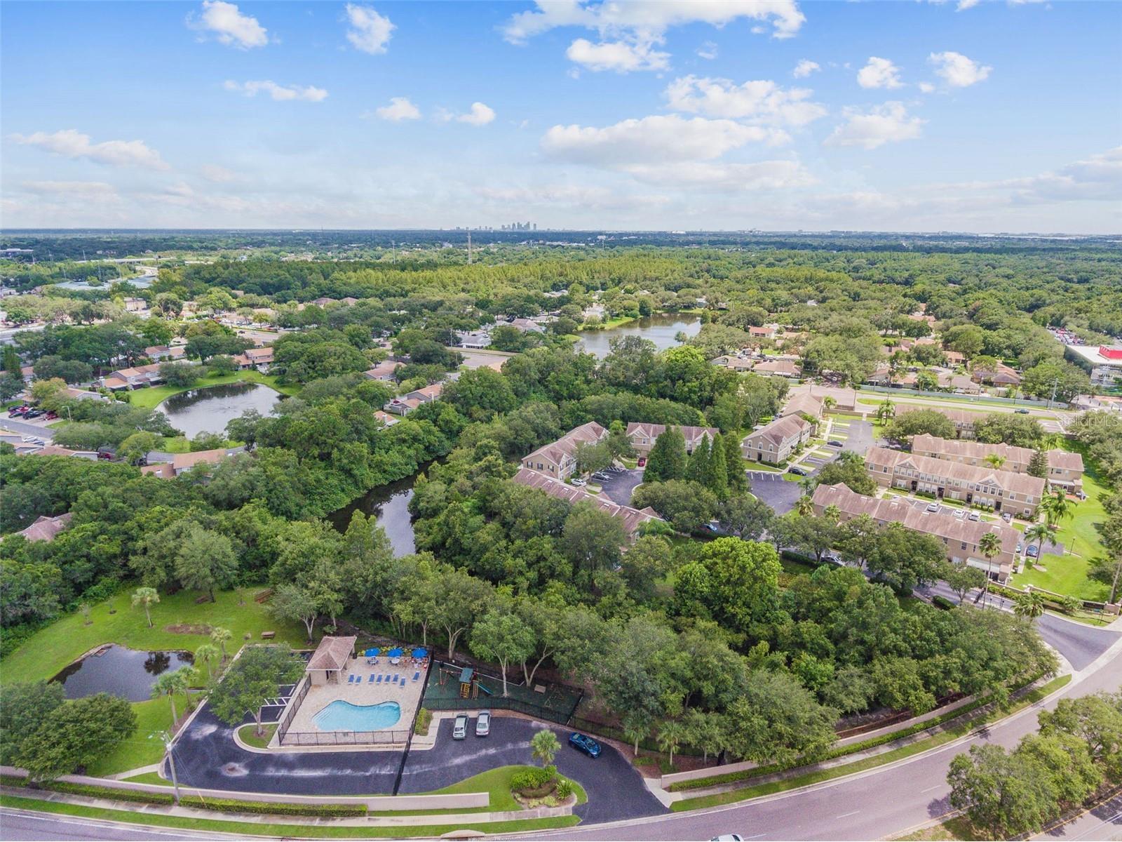 4321 Deermont Circle Tampa FL 33624 TB8468422 image47