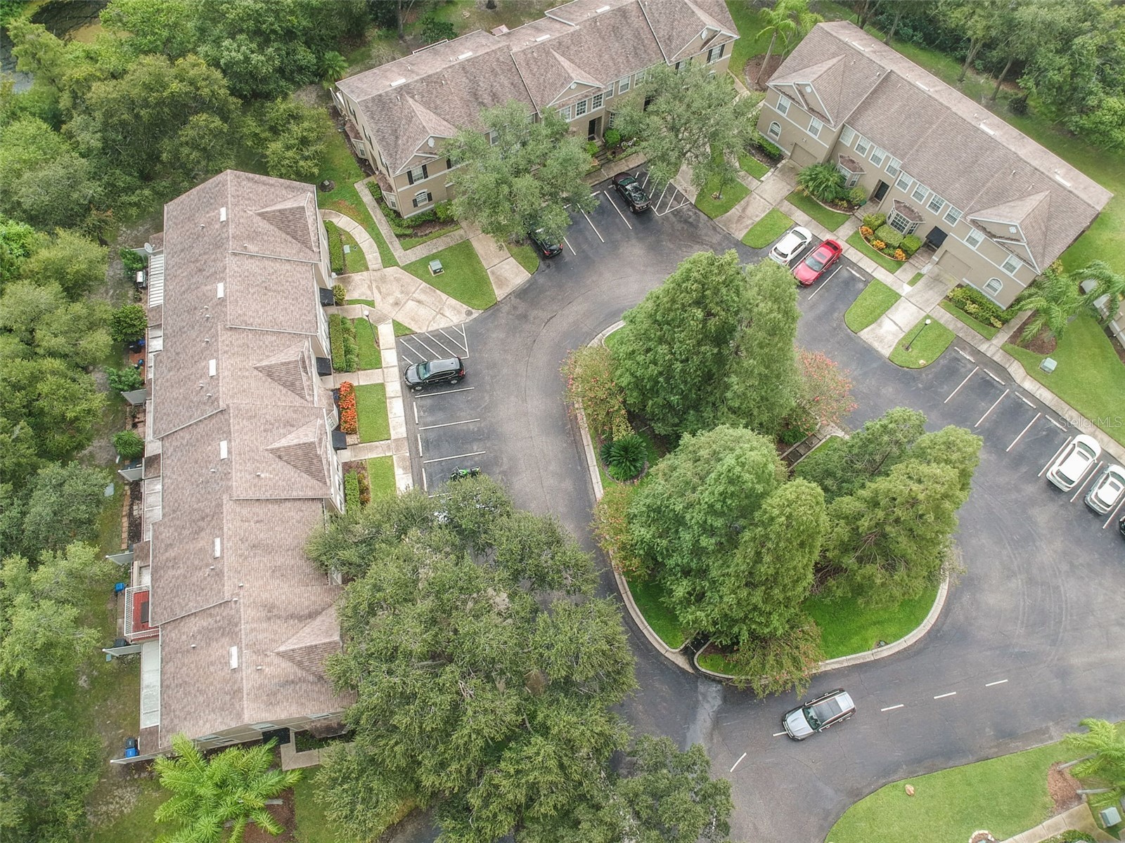 4321 Deermont Circle Tampa FL 33624 TB8468422 image48