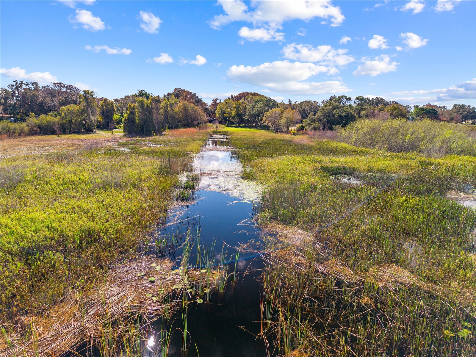 4321 Rummell Road Saint Cloud FL 34769 - EAST LAKE TOHO S5140907 image68