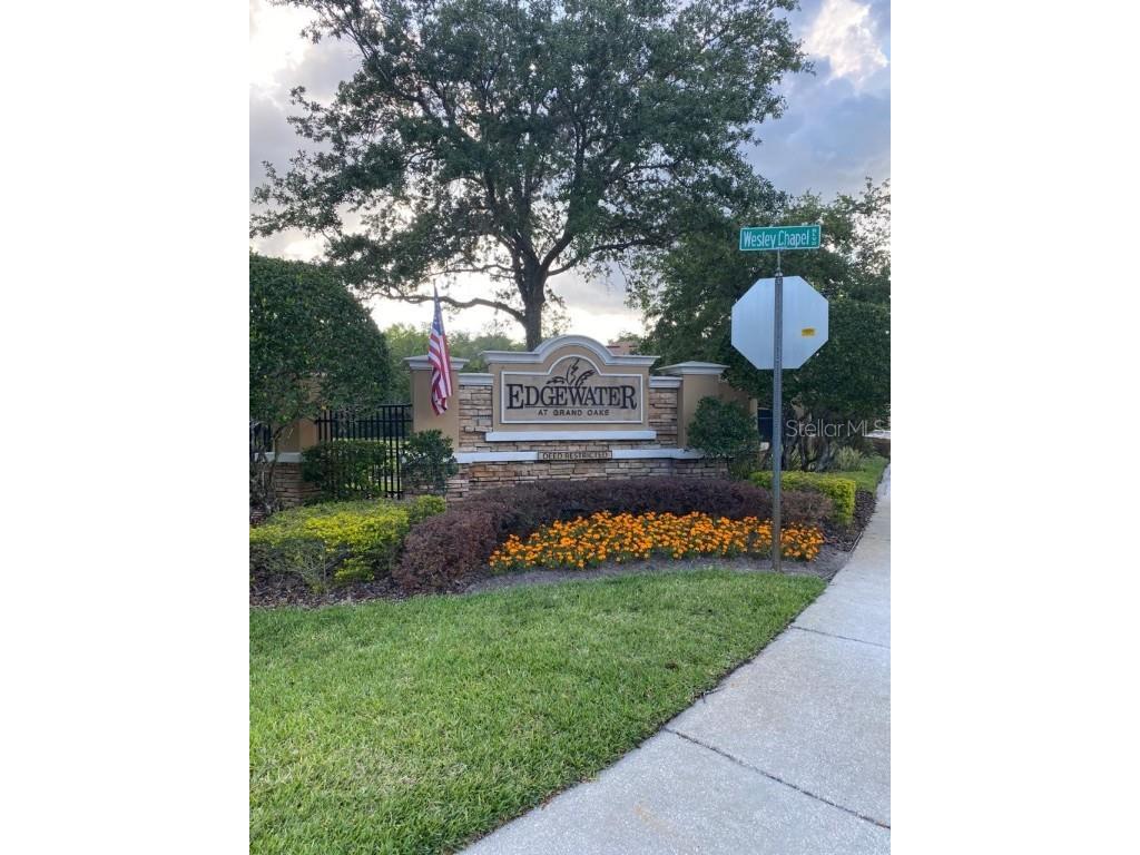 4321 Winding River Way Land O Lakes FL 34639 T3438757 image1