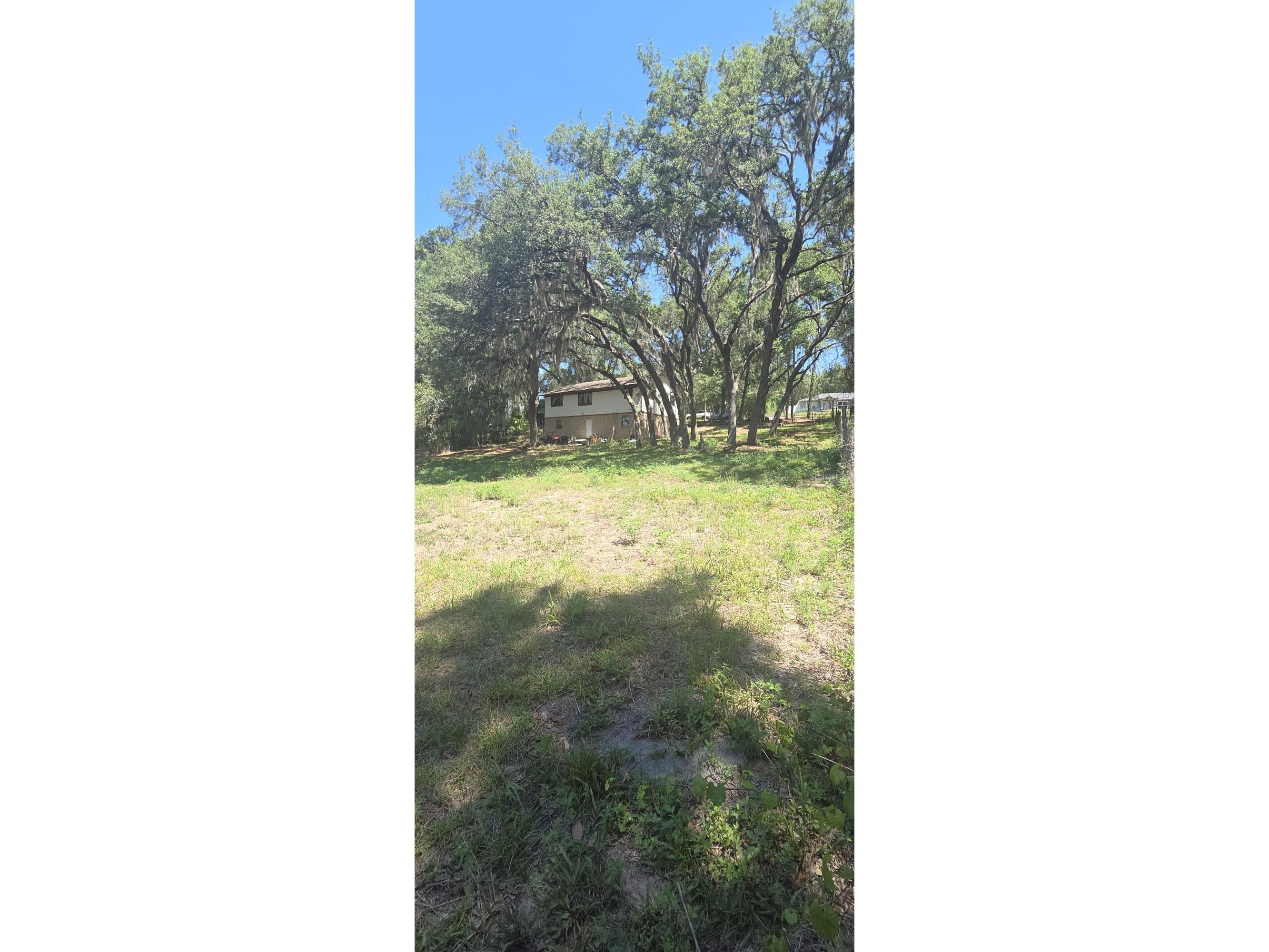 4322 Casaurina Road Lady Lake FL 32159 O6408458 image20