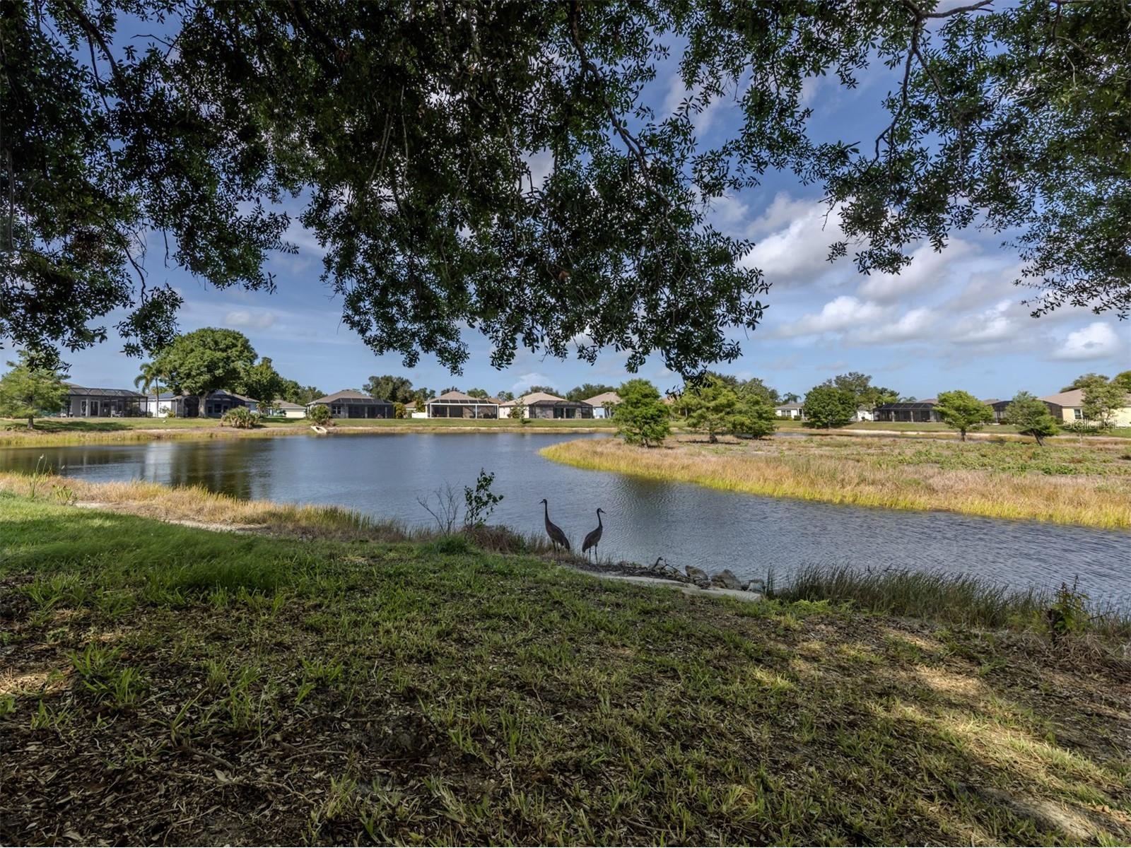4322 Manfield Drive Venice FL 34293 N6144473 image25