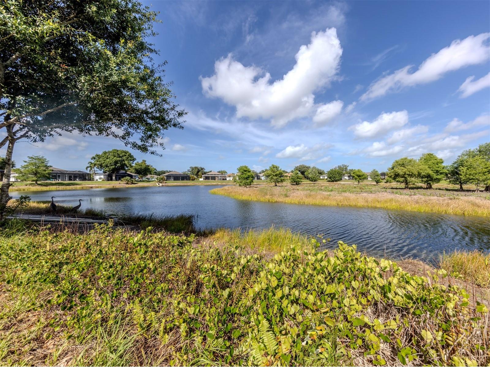 4322 Manfield Drive Venice FL 34293 N6144473 image26