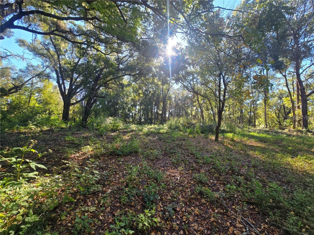 4322 N Carl G Rose Highway Hernando FL 34442 OM713486 image10