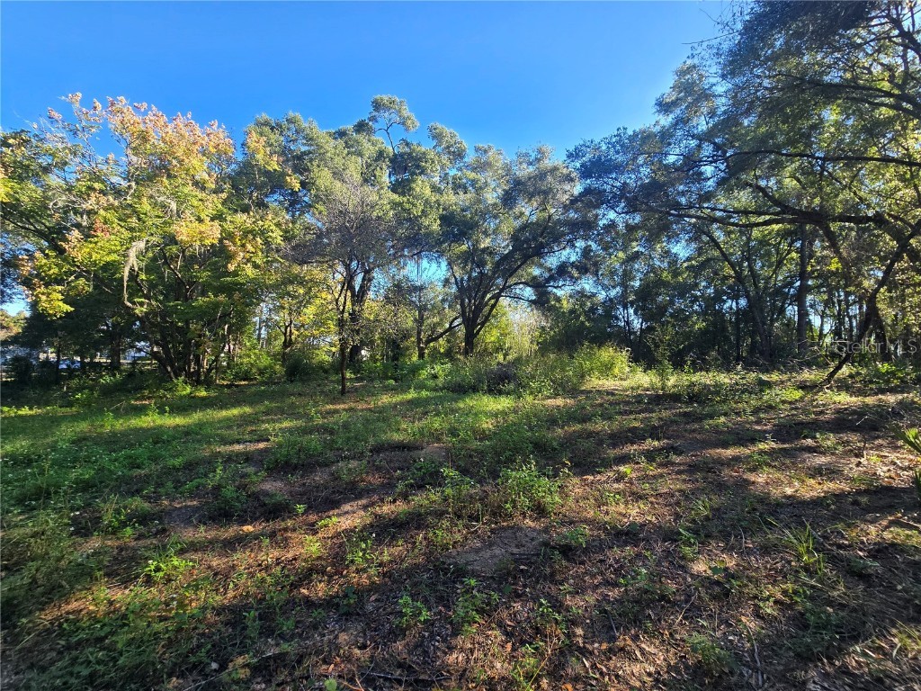 4322 N Carl G Rose Highway Hernando FL 34442 OM713486 image11