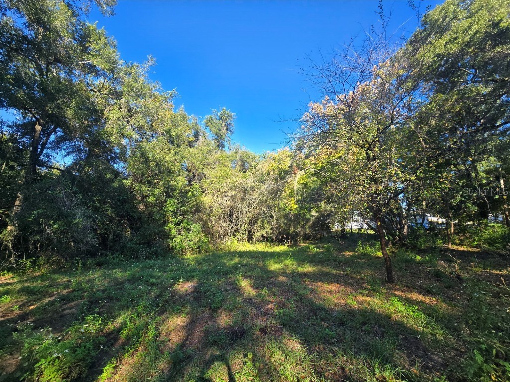 4322 N Carl G Rose Highway Hernando FL 34442 OM713486 image12