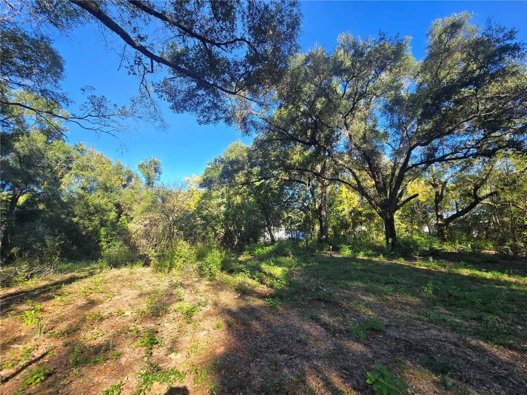 4322 N Carl G Rose Highway Hernando FL 34442 OM713486 image13