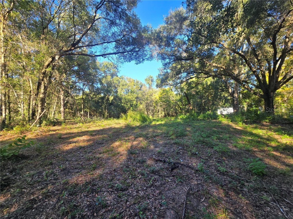 4322 N Carl G Rose Highway Hernando FL 34442 OM713486 image14