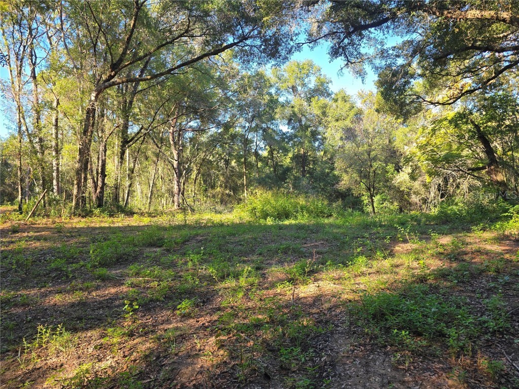 4322 N Carl G Rose Highway Hernando FL 34442 OM713486 image15