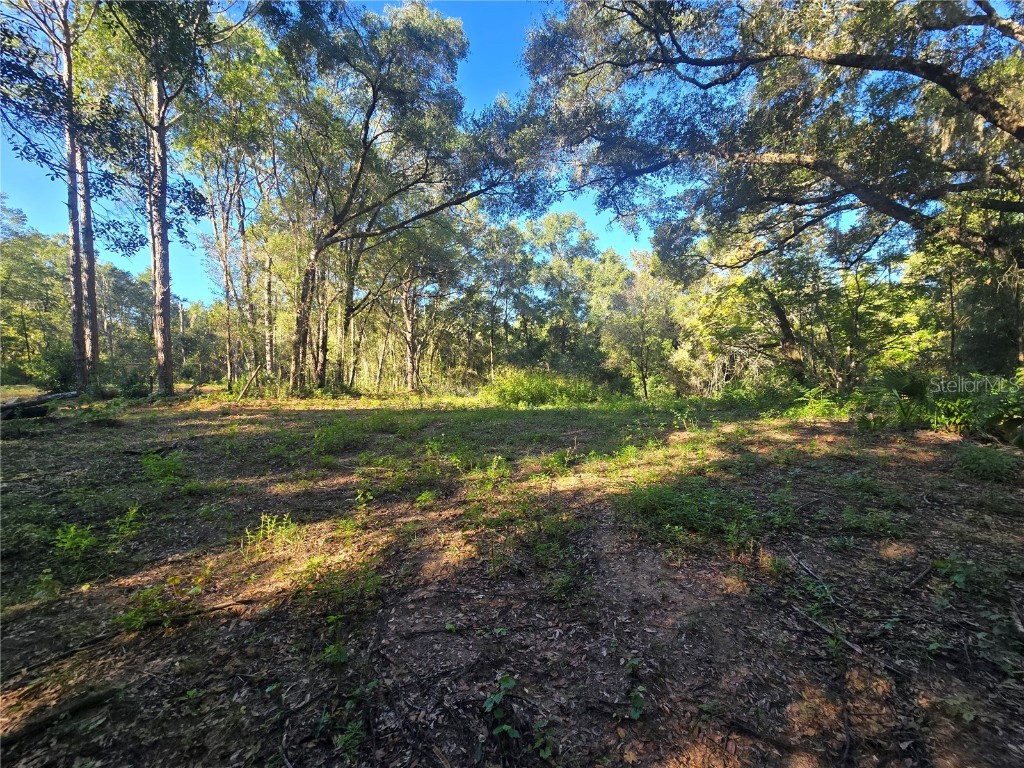 4322 N Carl G Rose Highway Hernando FL 34442 OM713486 image16