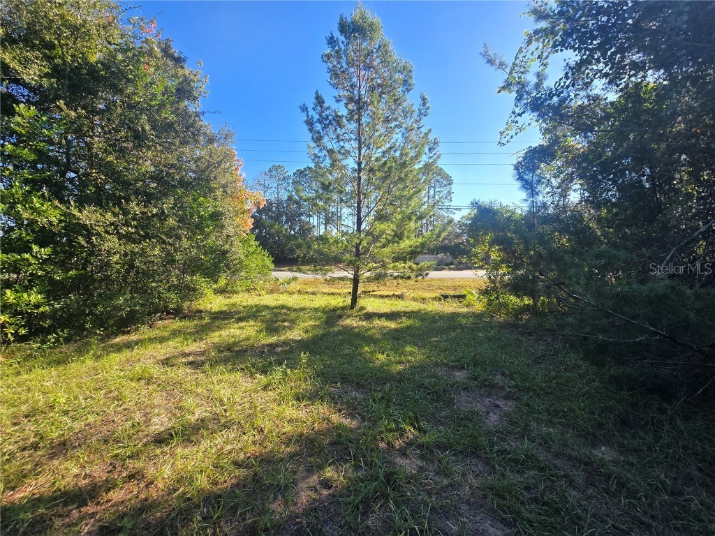 4322 N Carl G Rose Highway Hernando FL 34442 OM713486 image17