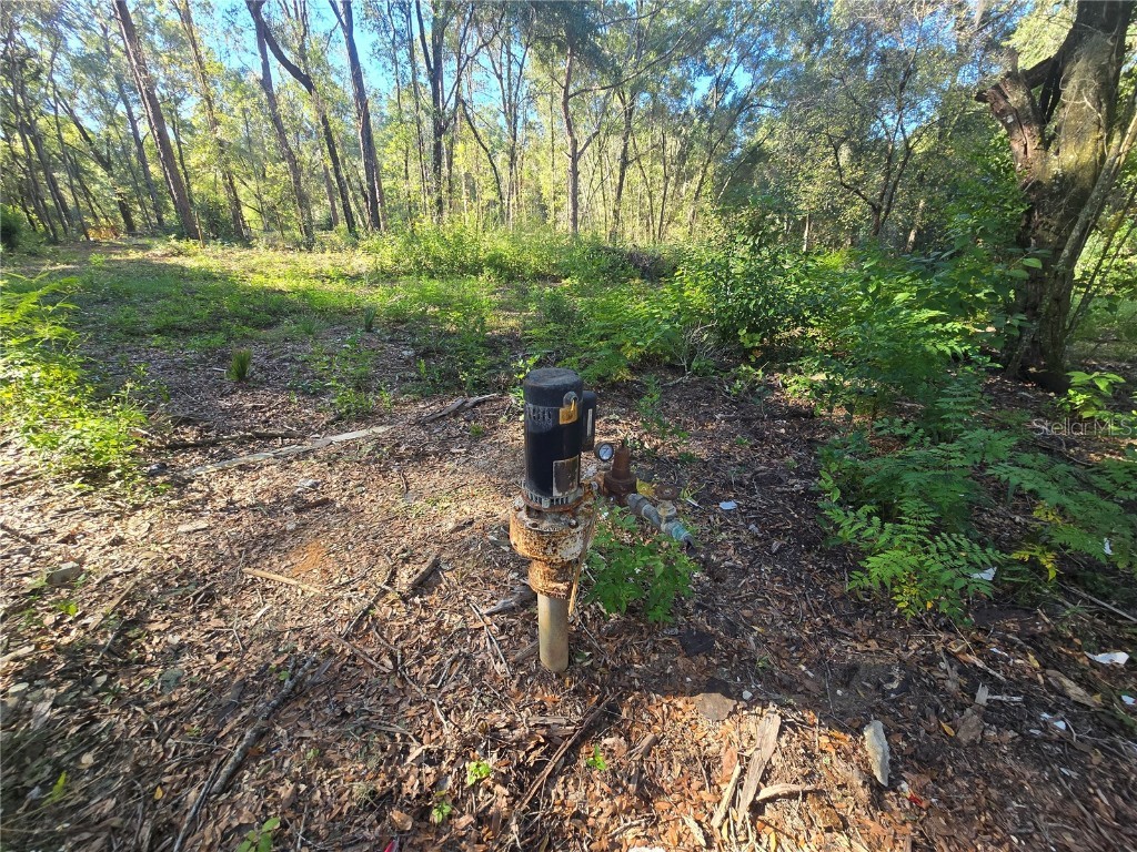 4322 N Carl G Rose Highway Hernando FL 34442 OM713486 image5