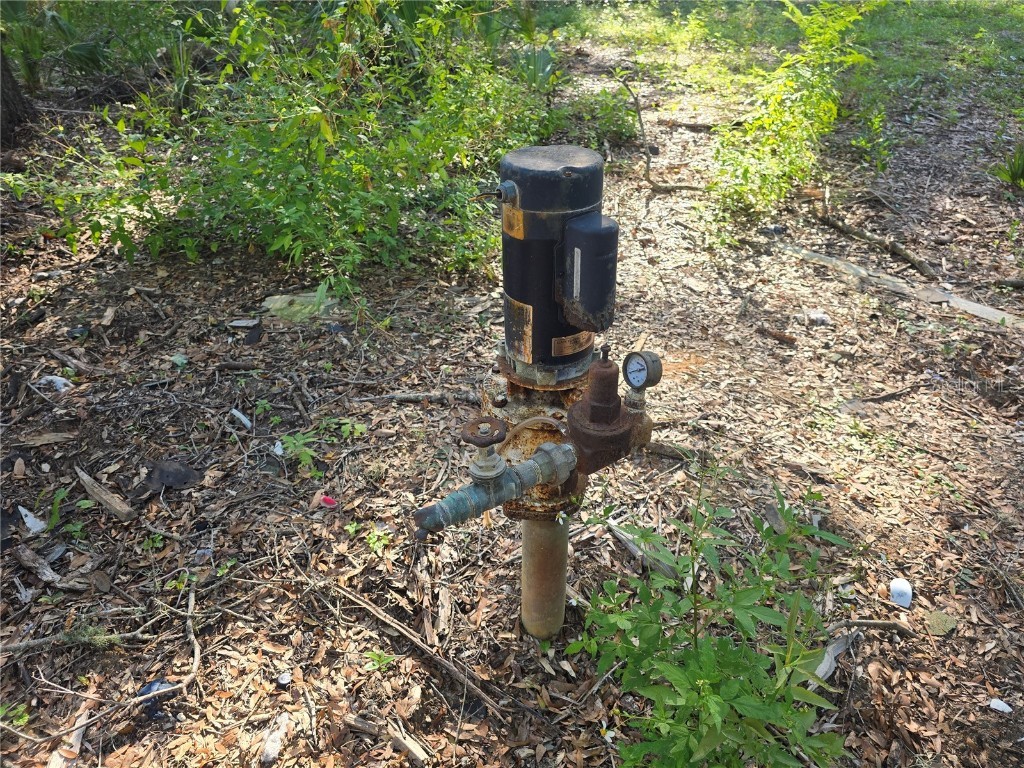 4322 N Carl G Rose Highway Hernando FL 34442 OM713486 image6