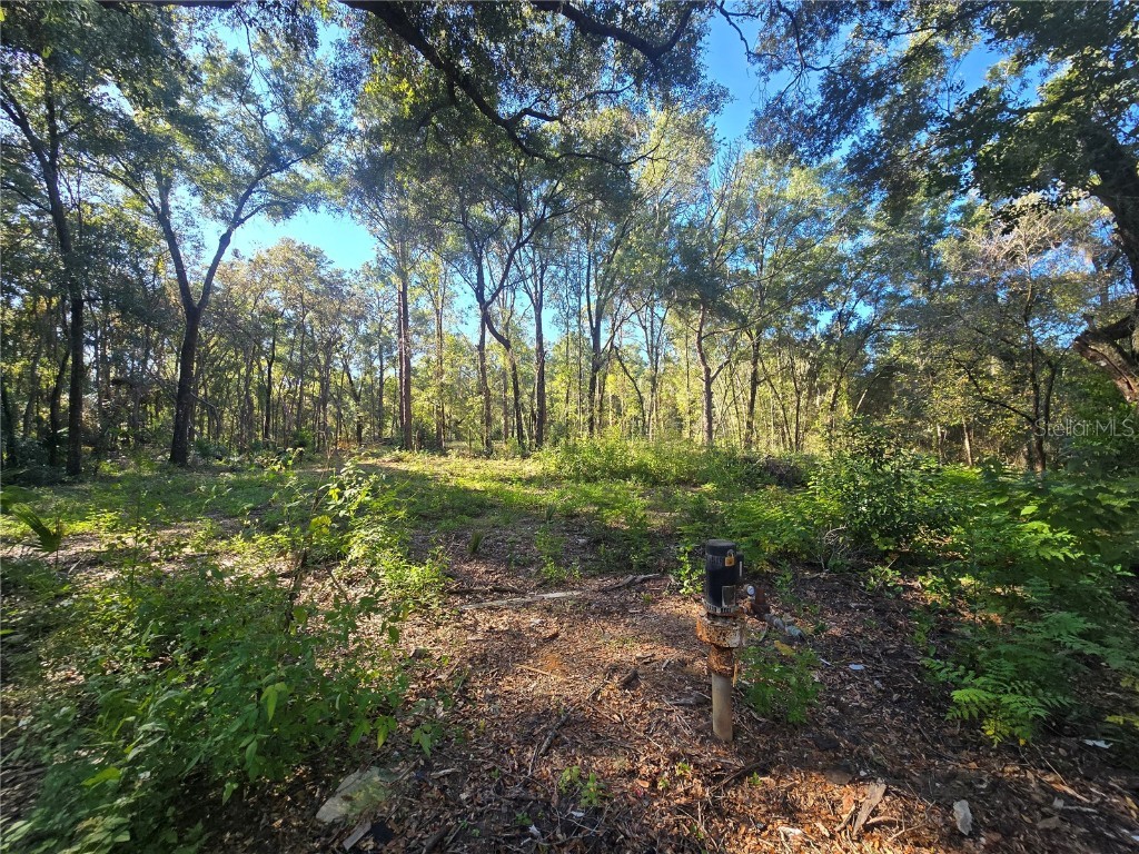 4322 N Carl G Rose Highway Hernando FL 34442 OM713486 image7