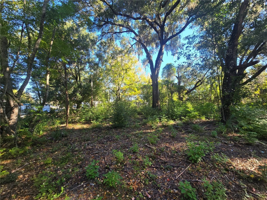 4322 N Carl G Rose Highway Hernando FL 34442 OM713486 image9