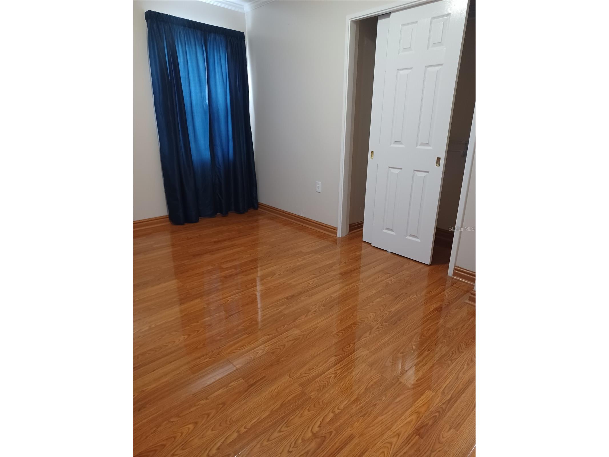 4323 5th Street Zephyrhills FL 33542 TB8426097 image11