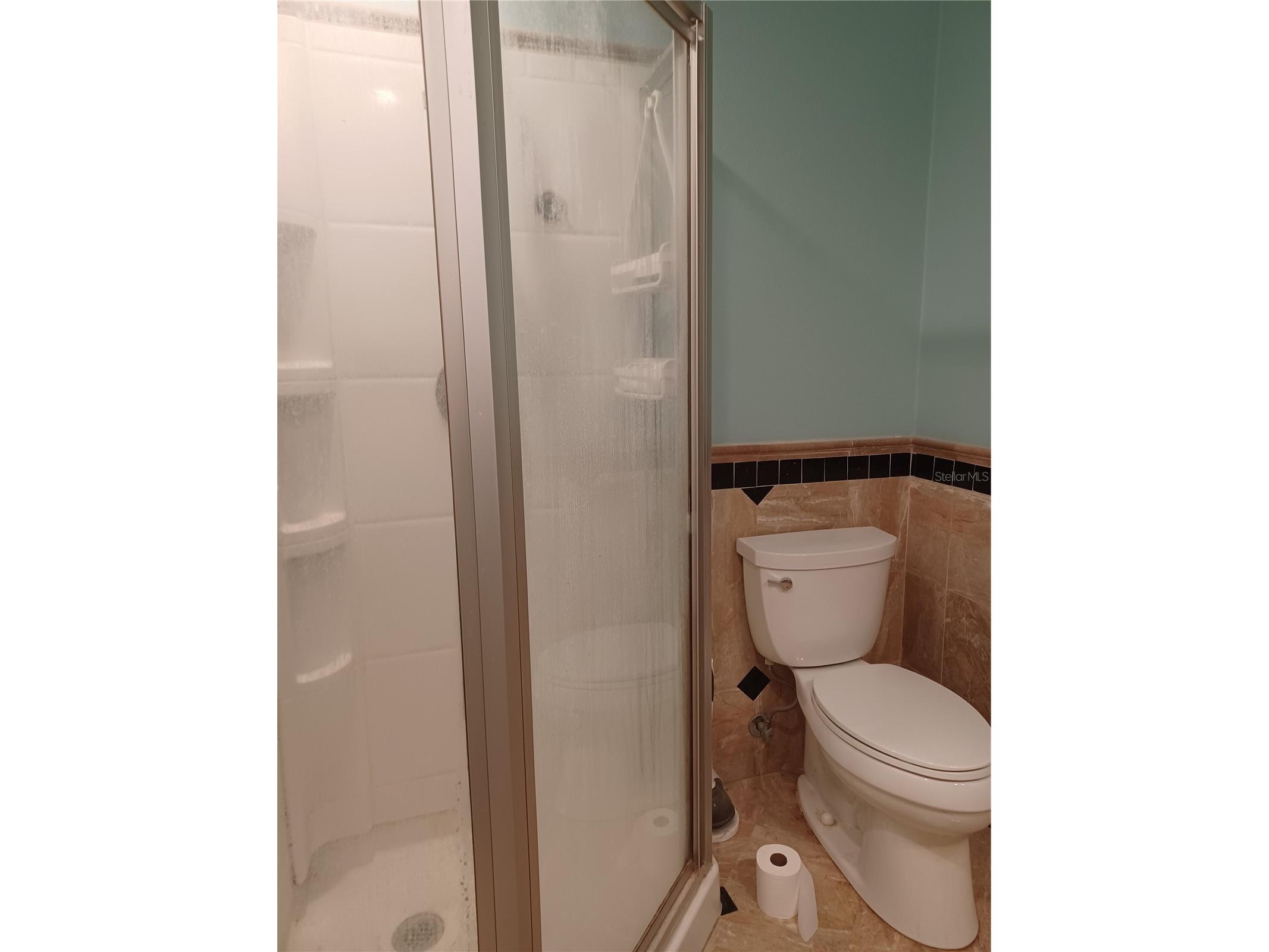 4323 5th Street Zephyrhills FL 33542 TB8426097 image17