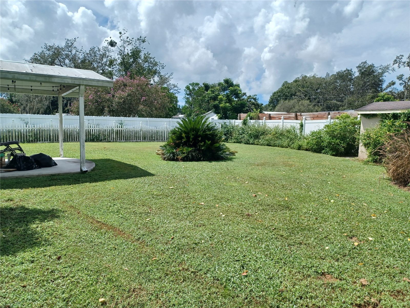 4323 5th Street Zephyrhills FL 33542 TB8426097 image26