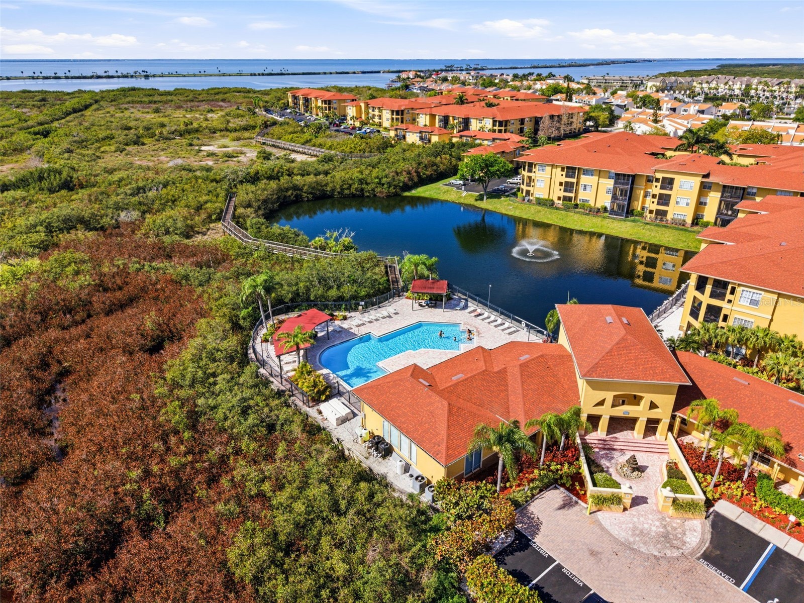4323 Bayside Village Drive #201 Tampa FL 33615 TB8485665 image10