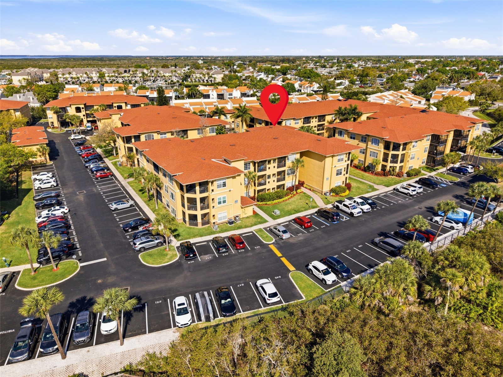 4323 Bayside Village Drive #201 Tampa FL 33615 TB8485665 image3