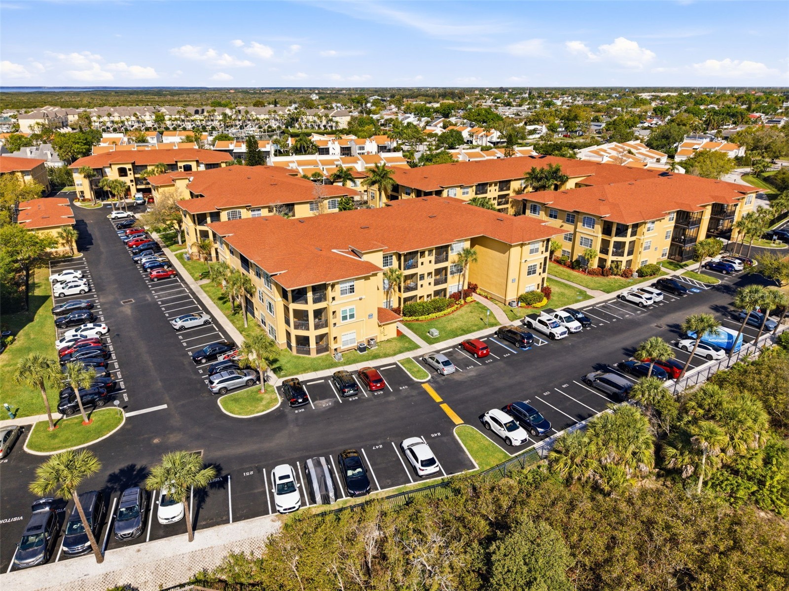 4323 Bayside Village Drive #201 Tampa FL 33615 TB8485665 image7