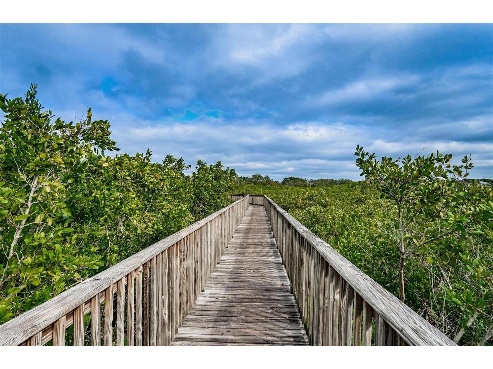 4323 Bayside Village Drive #202 Tampa FL 33615 TB8502308 image22
