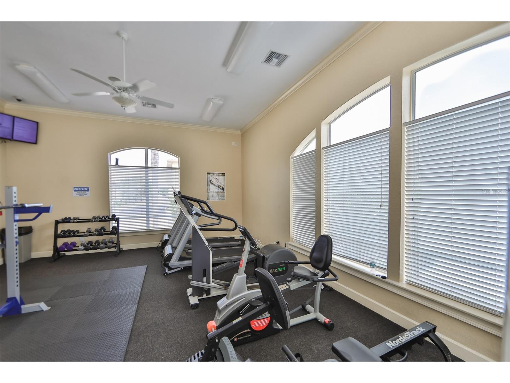 4323 Bayside Village Drive #219 Tampa FL 33615 TB8473213 image18