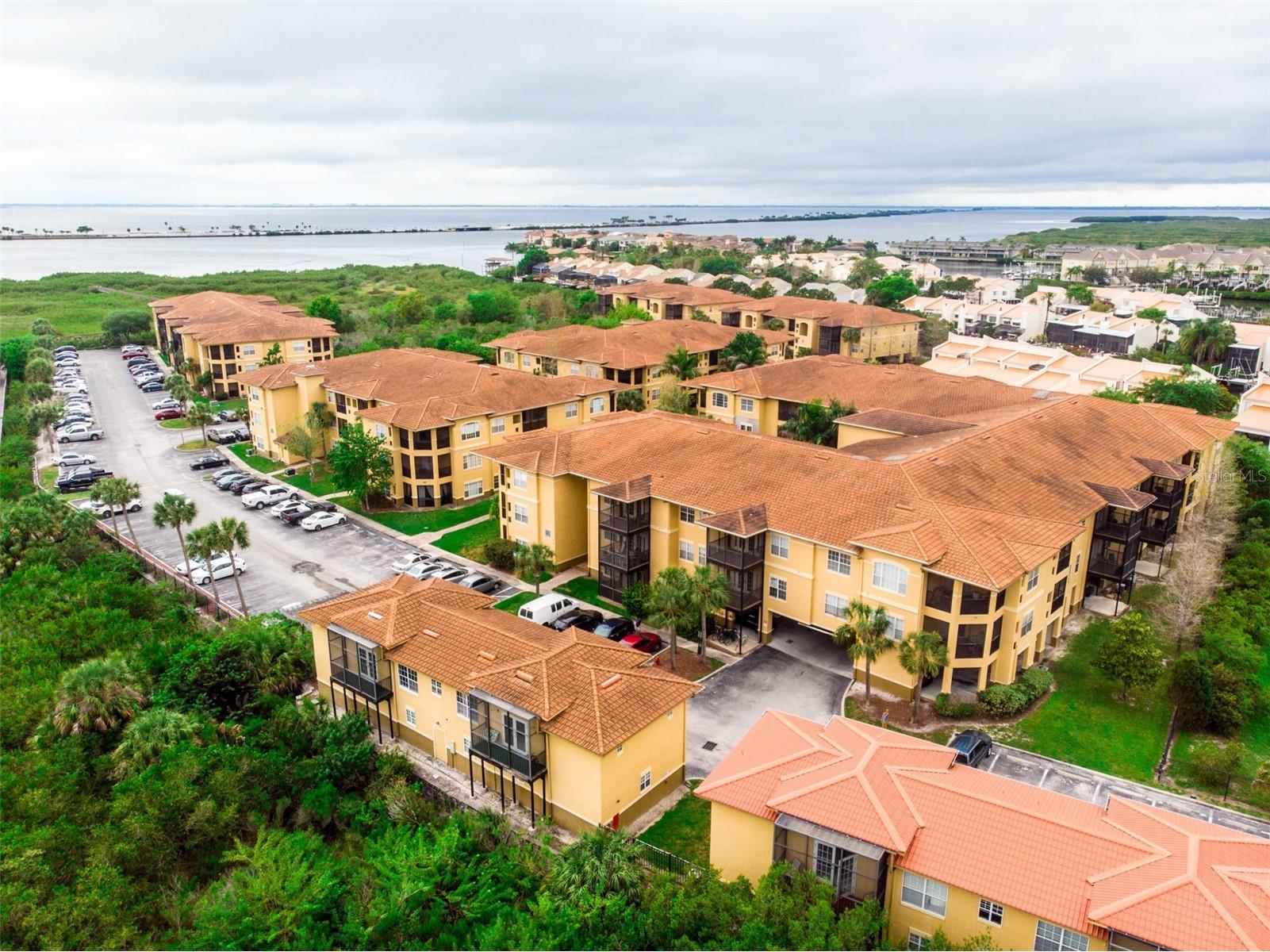 4323 Bayside Village Drive #219 Tampa FL 33615 TB8473213 image23