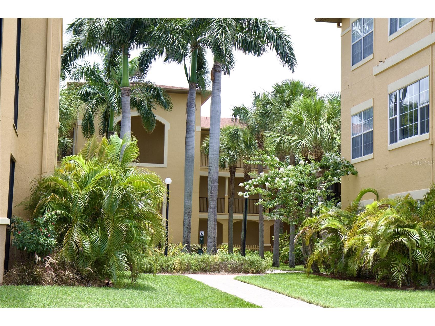 4323 Bayside Village Drive #306 Tampa FL 33615 TB8526073 image21