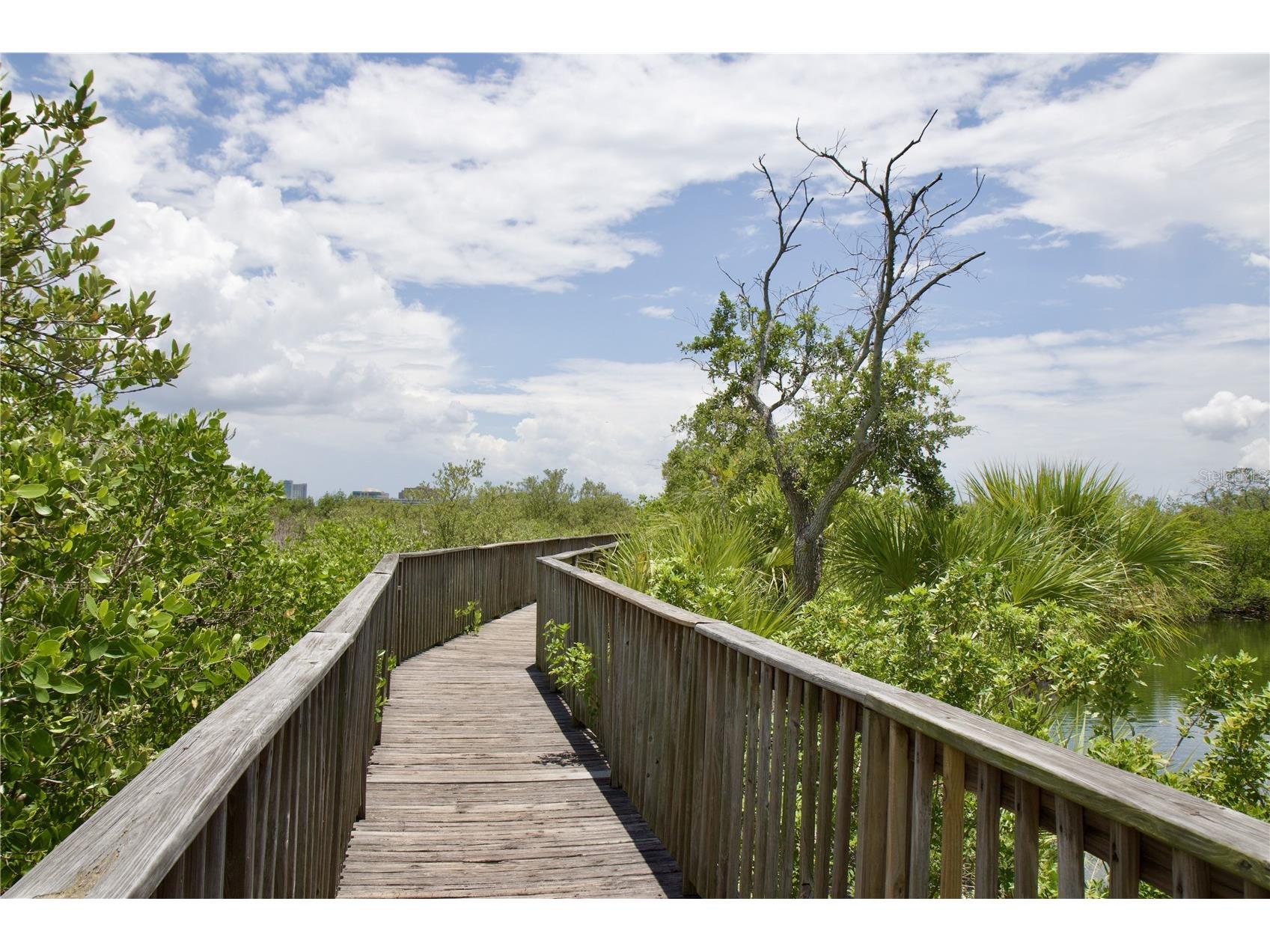 4323 Bayside Village Drive #306 Tampa FL 33615 TB8526073 image23