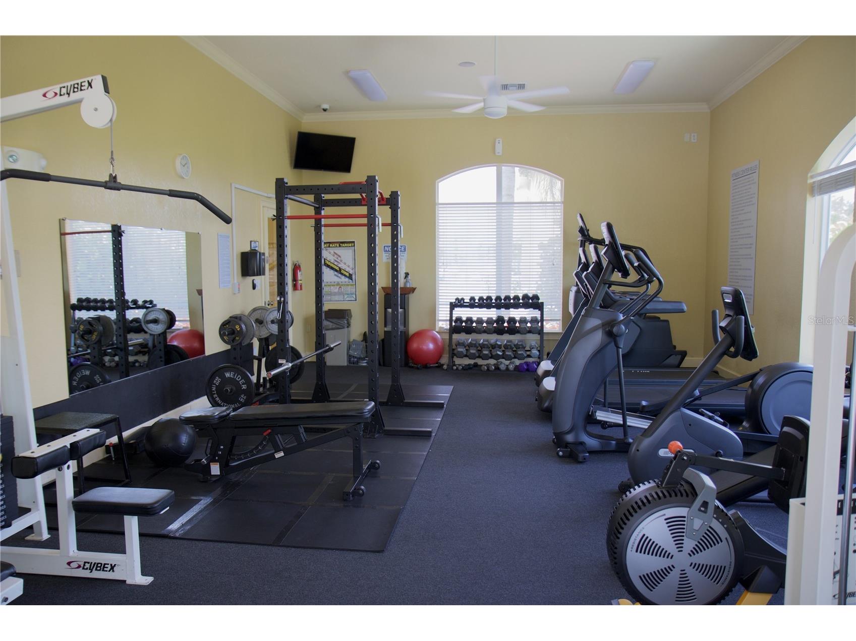 4323 Bayside Village Drive #306 Tampa FL 33615 TB8526073 image27