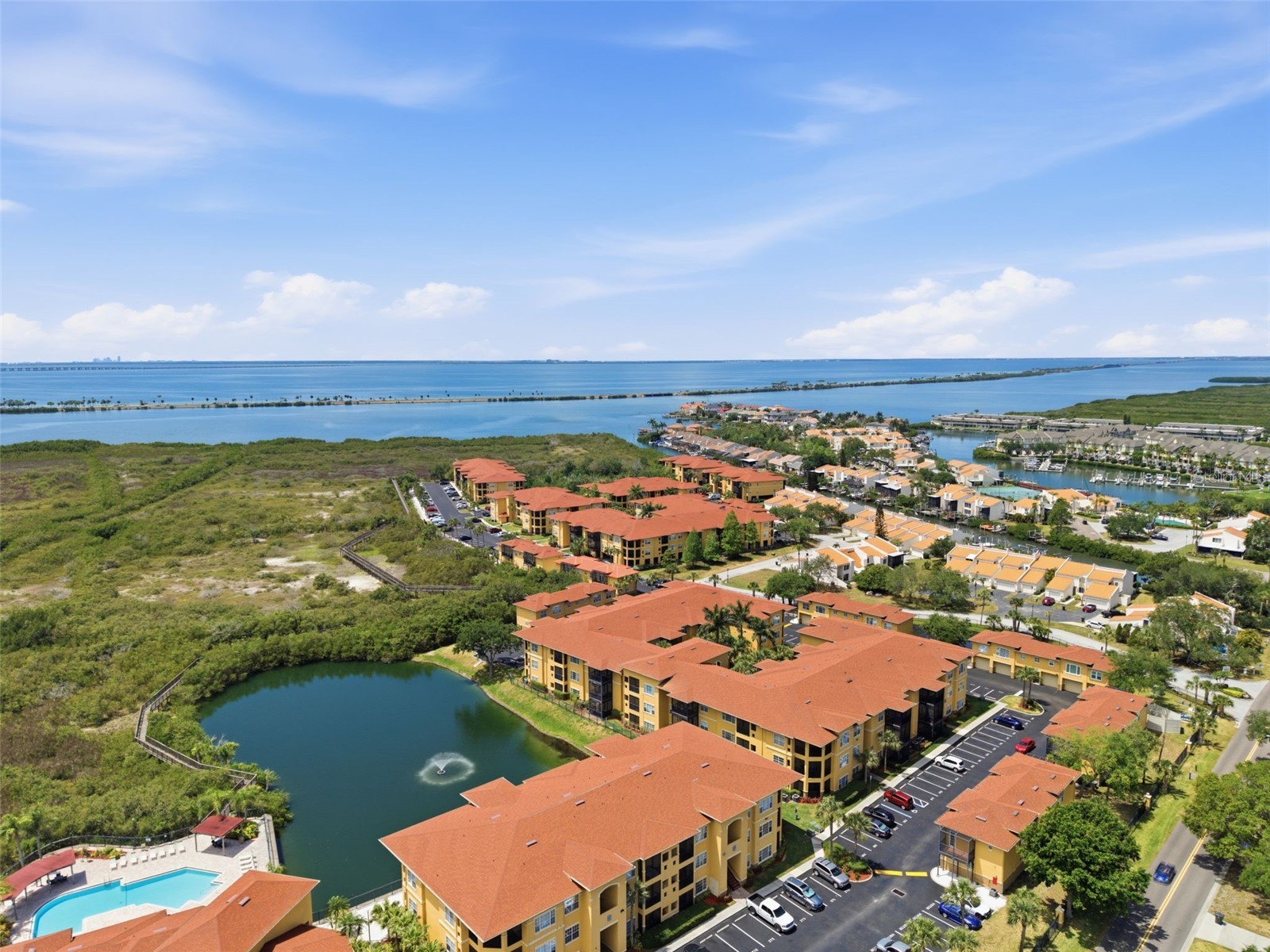 4323 Bayside Village Drive #312 Tampa FL 33615 TB8503502 image1