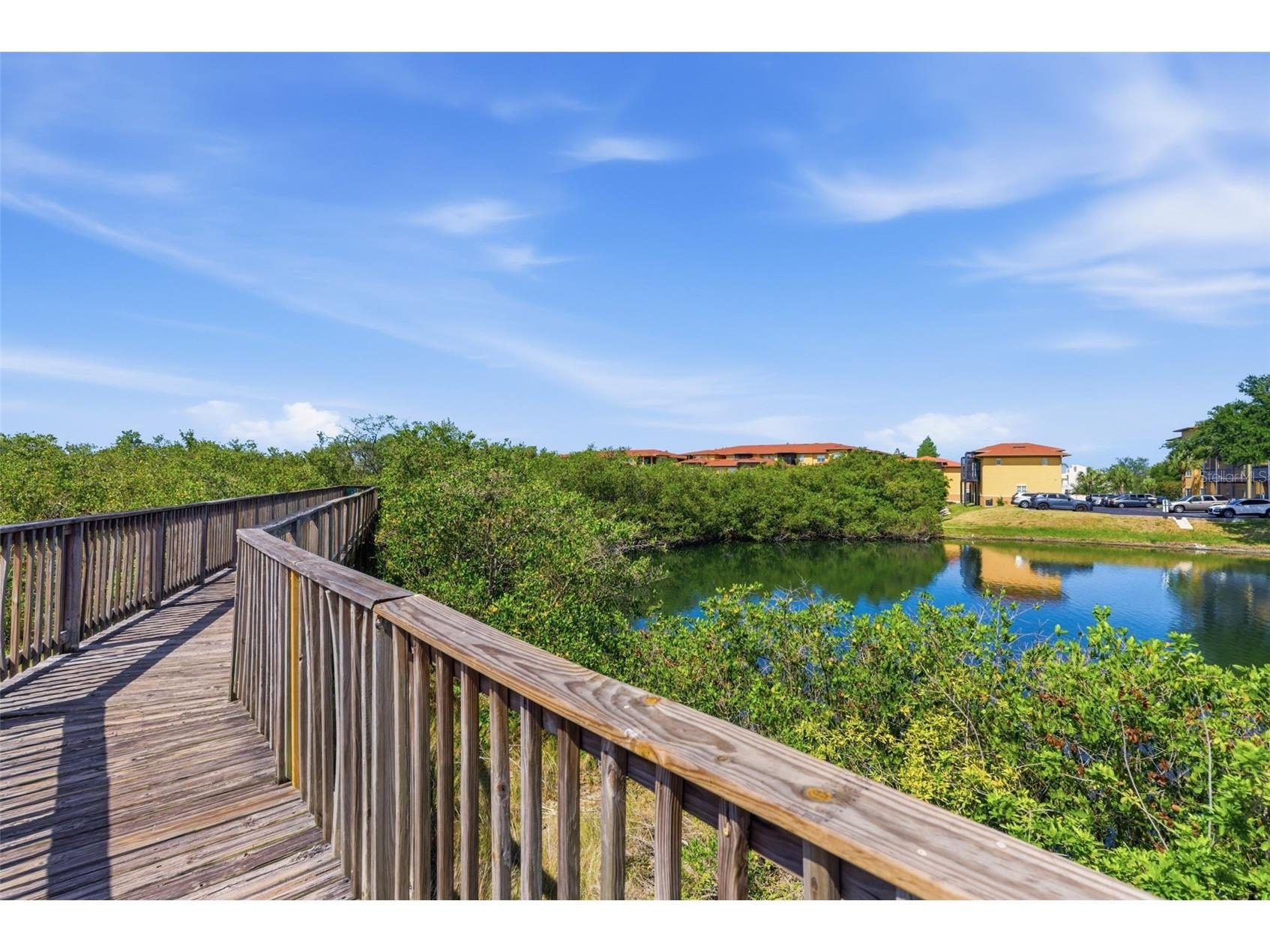 4323 Bayside Village Drive #312 Tampa FL 33615 TB8503502 image35