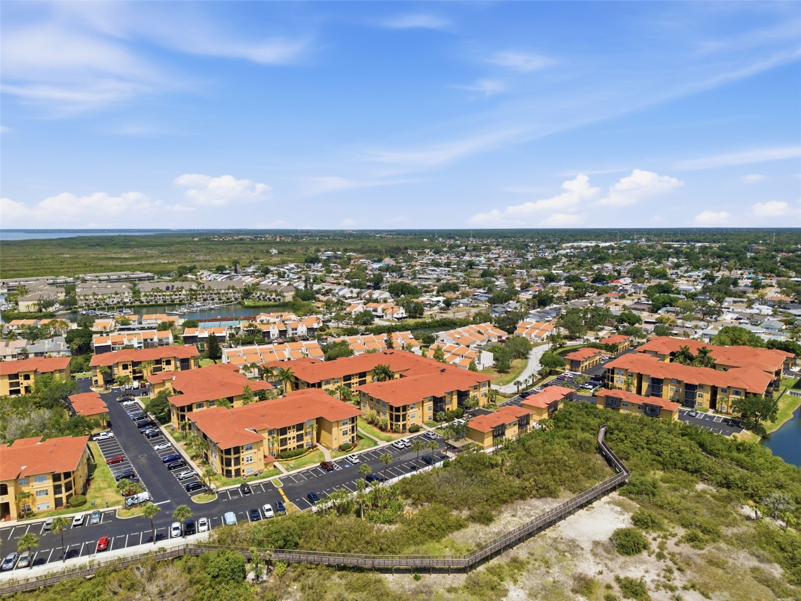 4323 Bayside Village Drive #312 Tampa FL 33615 TB8503502 image51