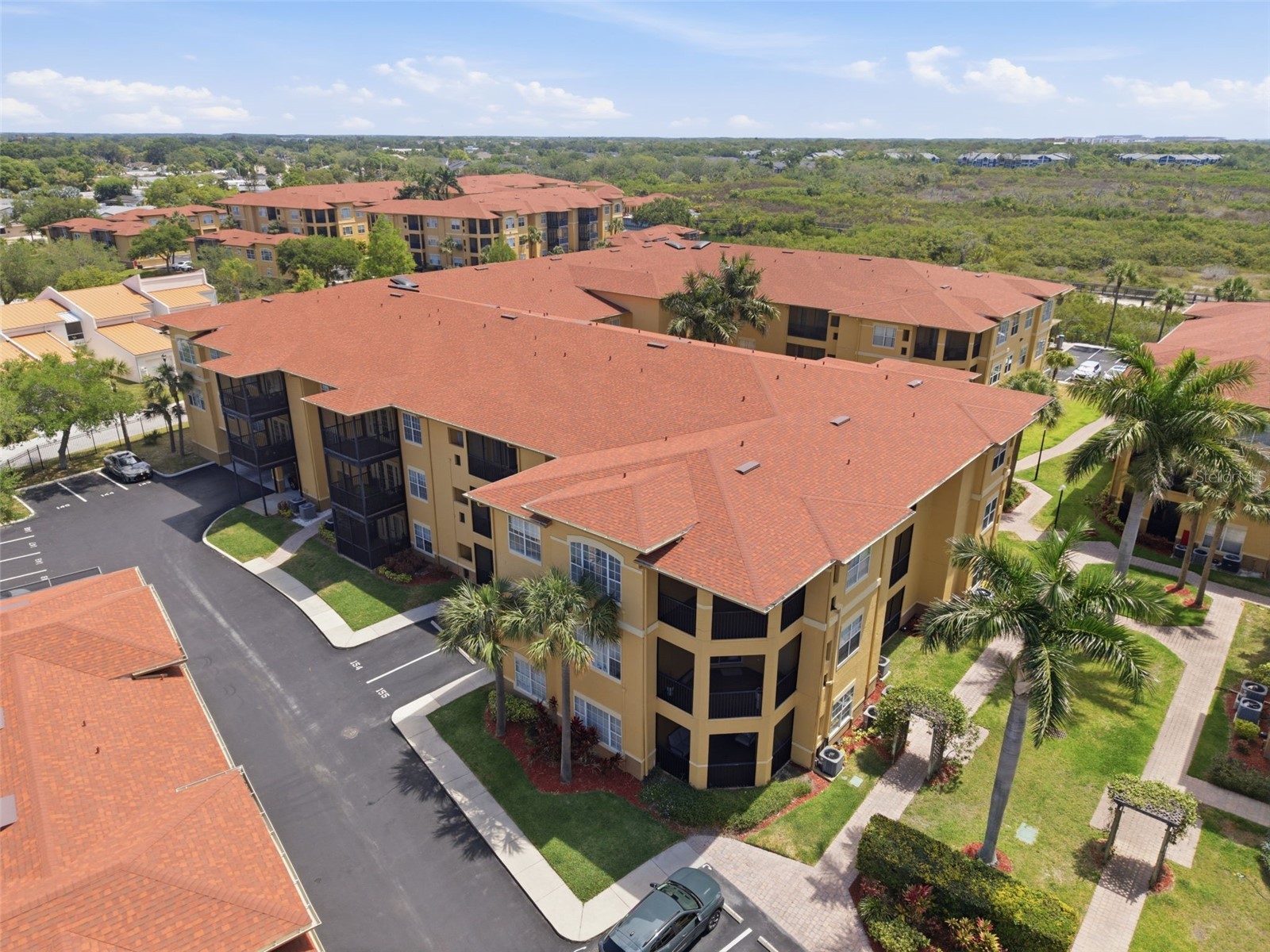 4323 Bayside Village Drive #312 Tampa FL 33615 TB8503502 image56