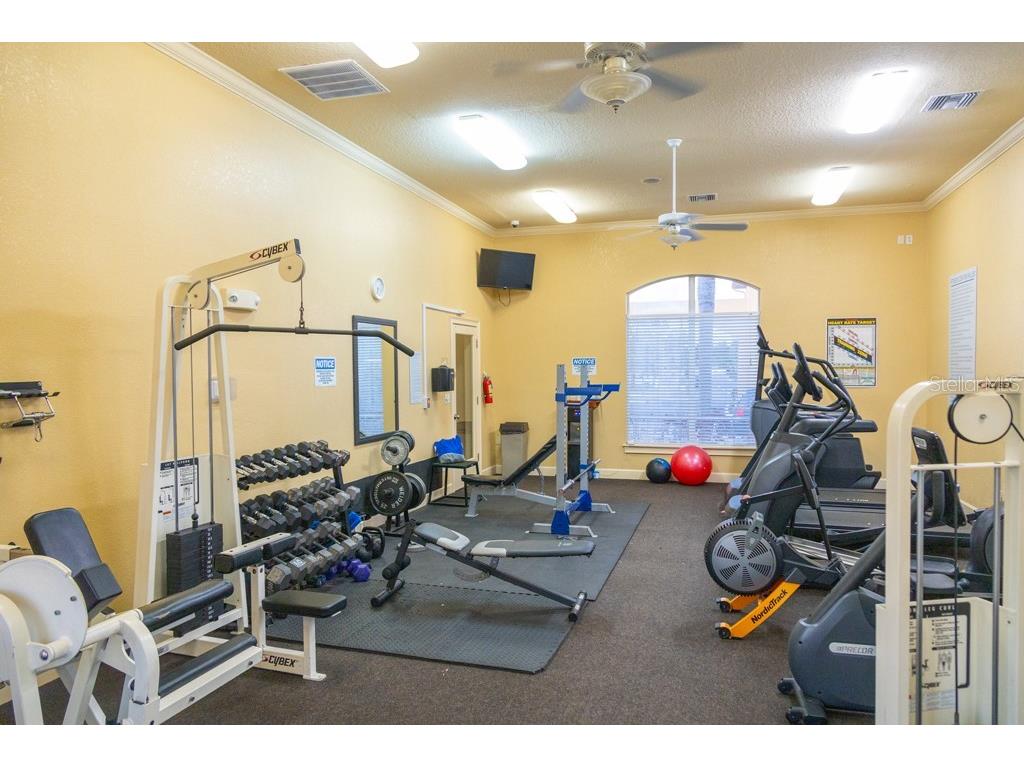 4323 Bayside Village Drive #314 Tampa FL 33615 TB8347838 image21