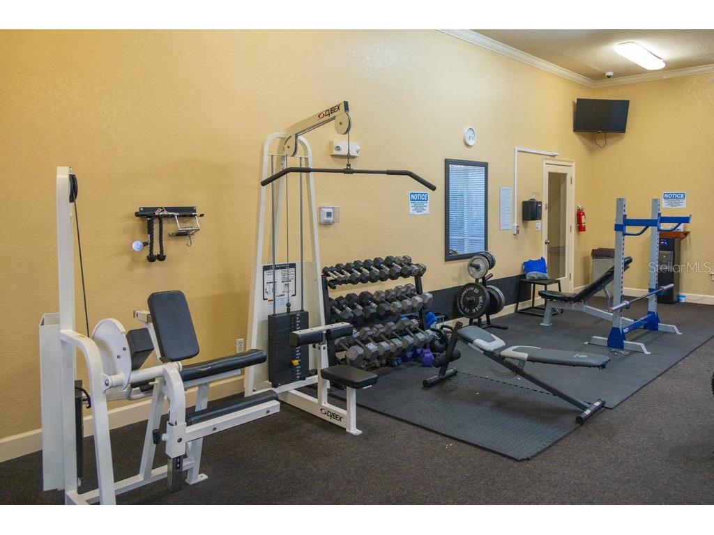 4323 Bayside Village Drive #314 Tampa FL 33615 TB8347838 image22