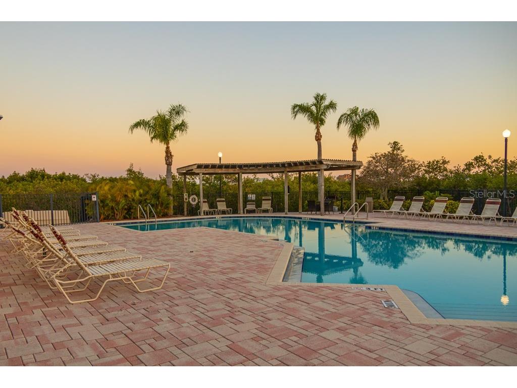 4323 Bayside Village Drive #314 Tampa FL 33615 TB8347838 image24