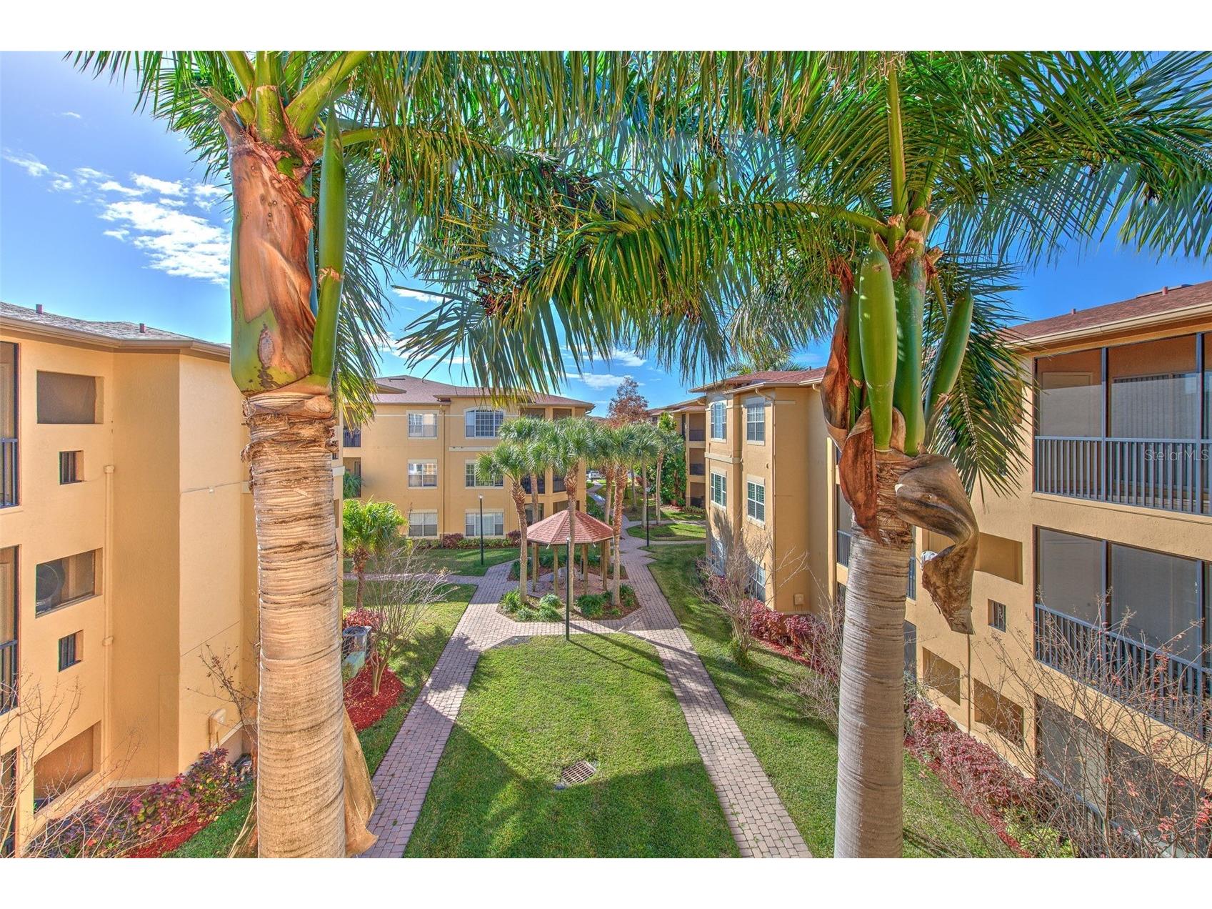 4323 Bayside Village Drive #319 Tampa FL 33615 TB8462193 image2