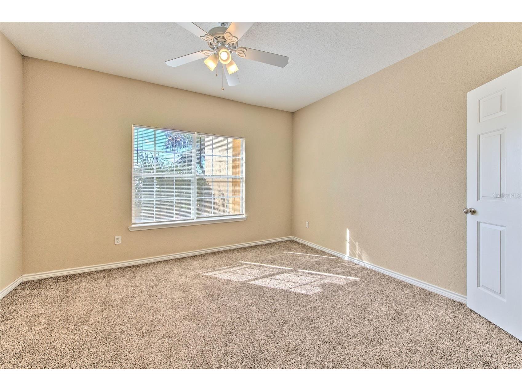 4323 Bayside Village Drive #319 Tampa FL 33615 TB8462193 image21