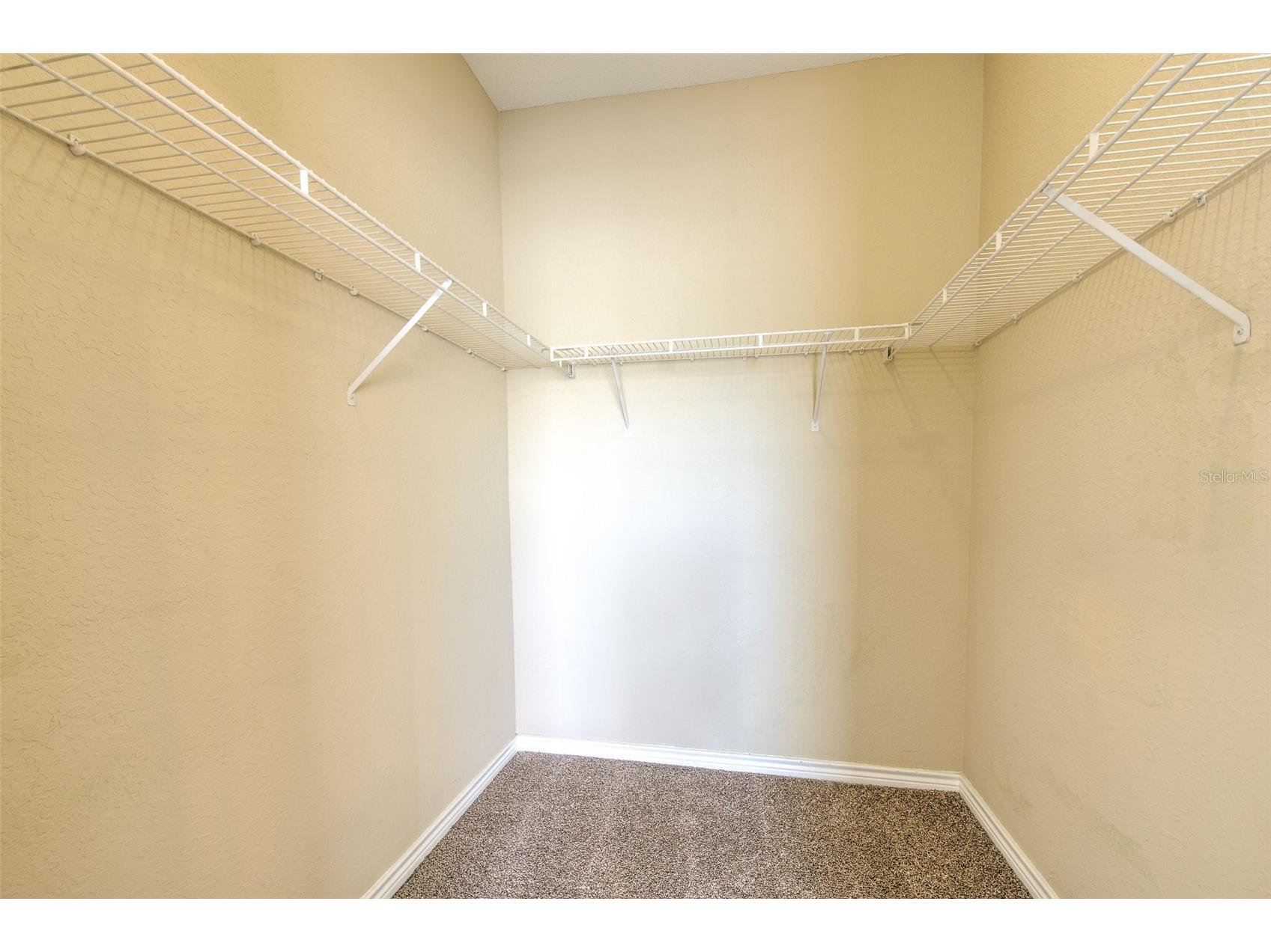 4323 Bayside Village Drive #319 Tampa FL 33615 TB8462193 image23