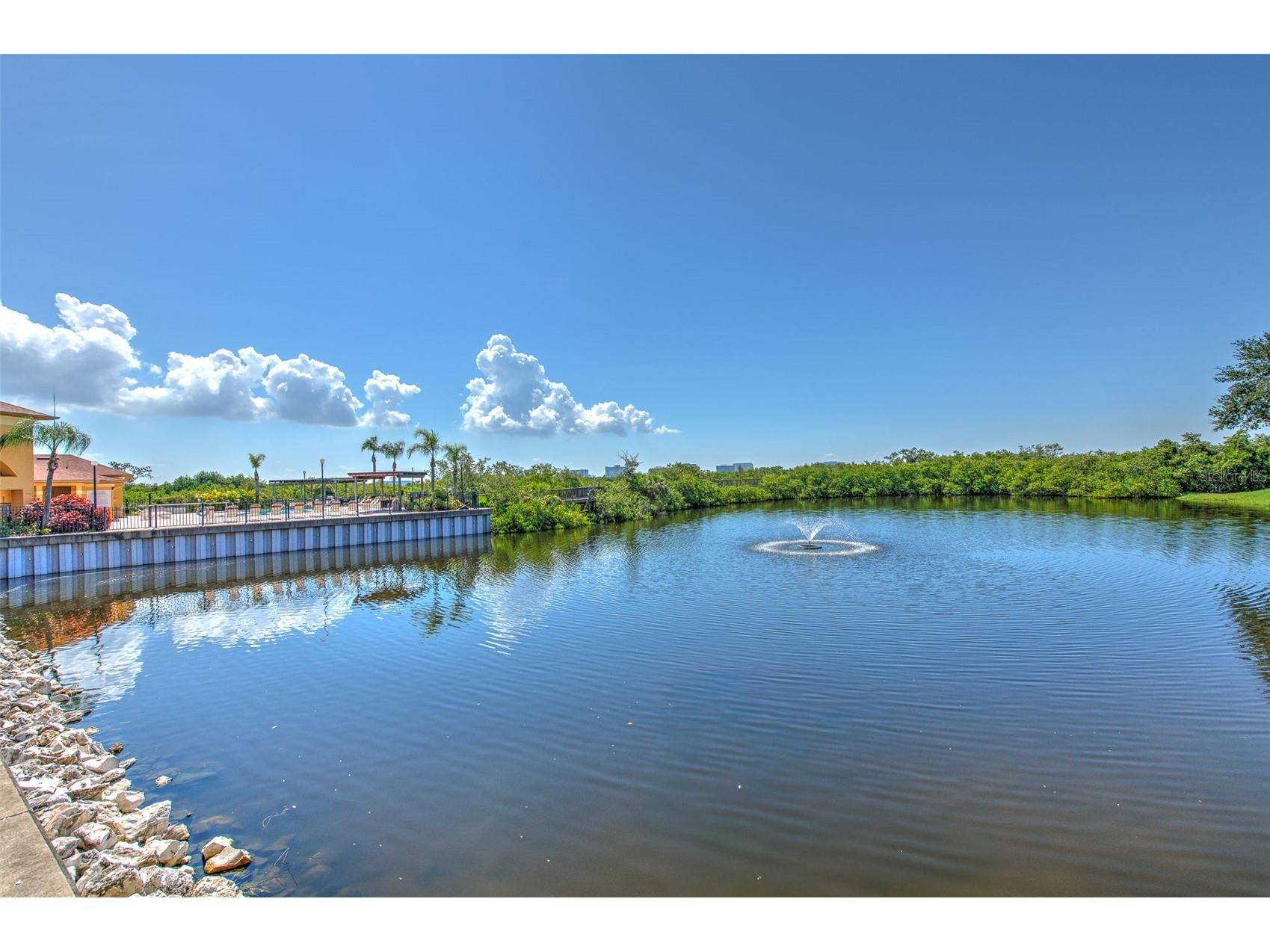 4323 Bayside Village Drive #319 Tampa FL 33615 TB8462193 image27